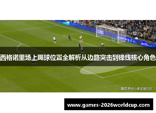 西格诺里场上踢球位置全解析从边路突击到锋线核心角色